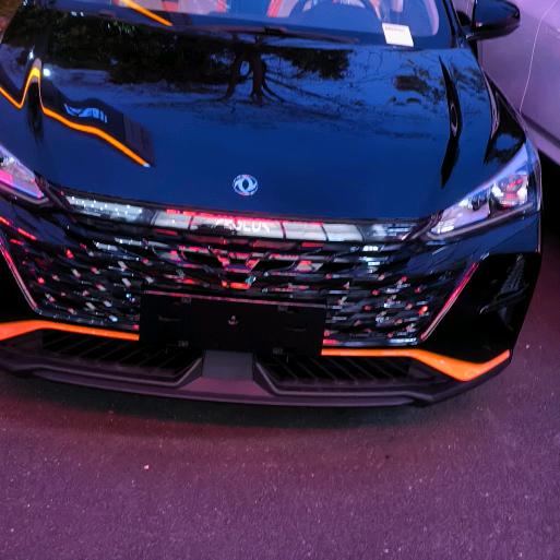 忘优草