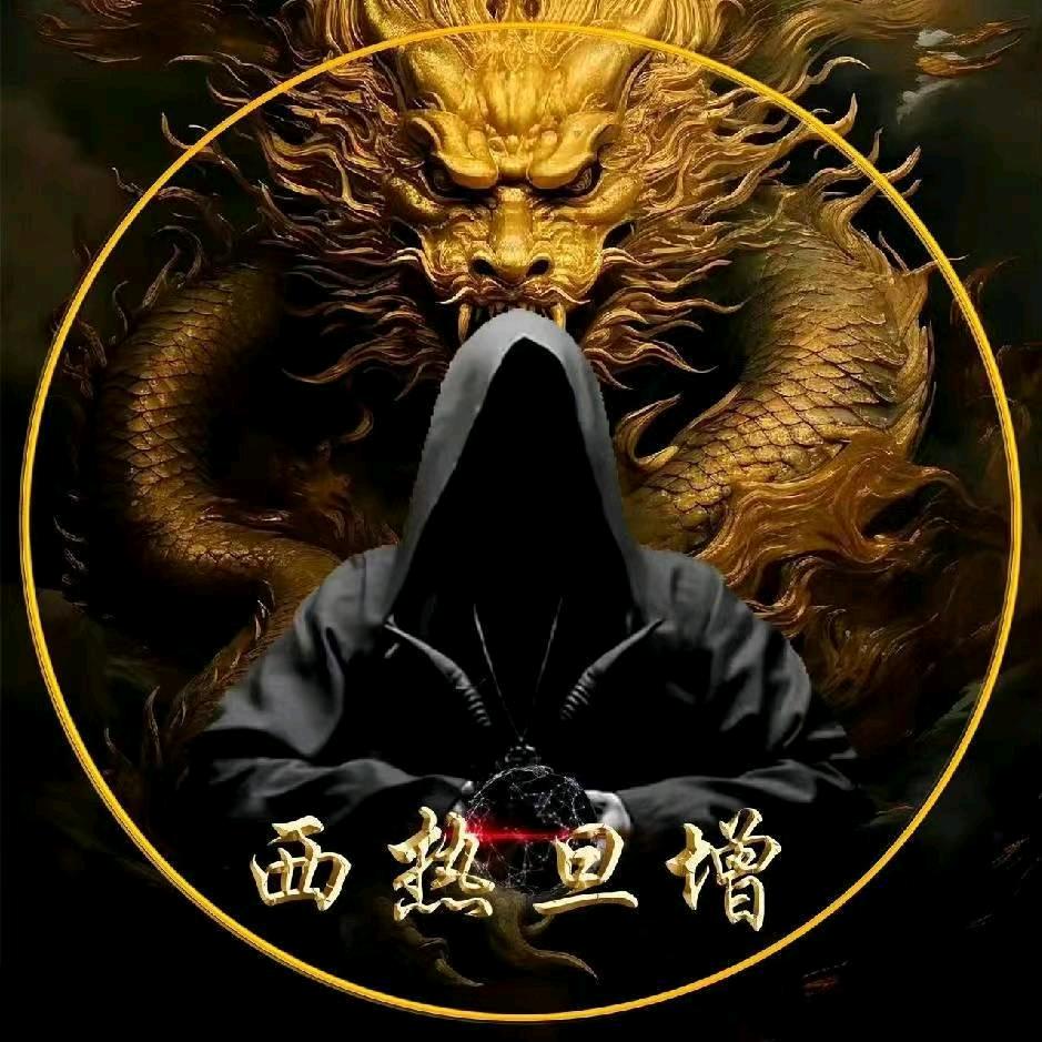 🐉         西热