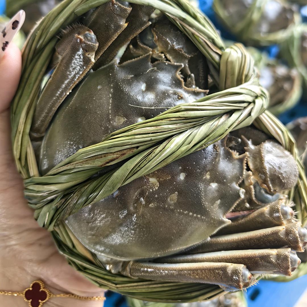 江苏红膏大闸蟹（批发收购挑膏蟹）