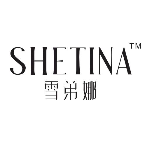 雪弟娜女鞋实体店
