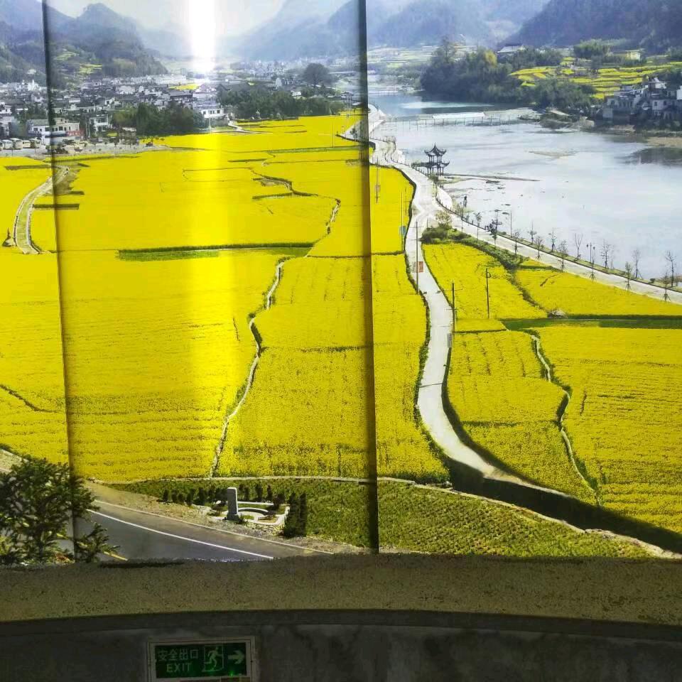 一生有你