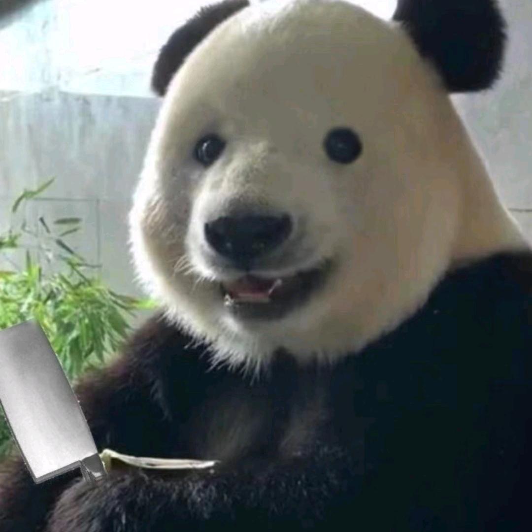 凶猪下山