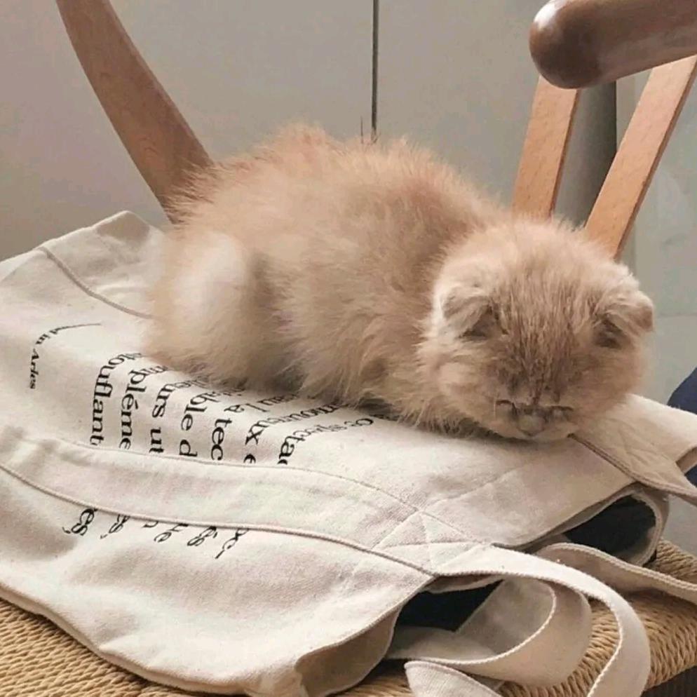 我非生来伶仃