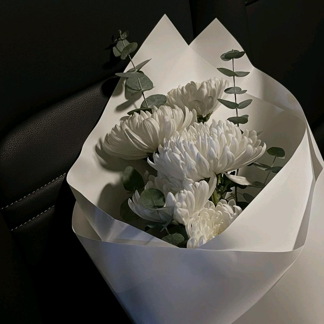 你永远的熊孩子