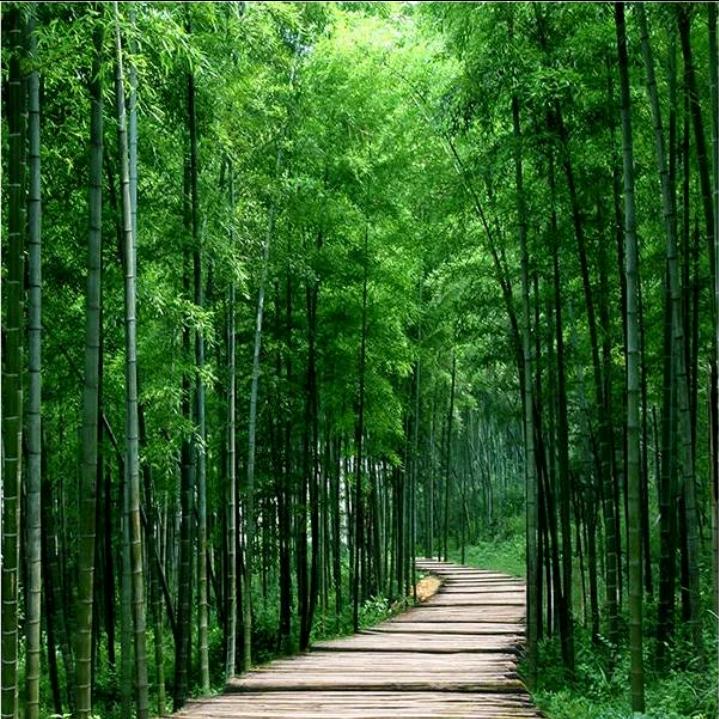 铭乘