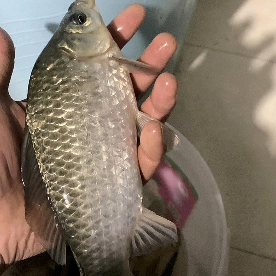 小师爱钓鱼🎣