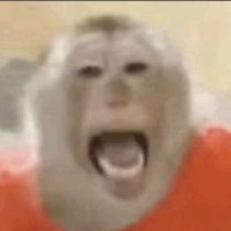 啦啦头像