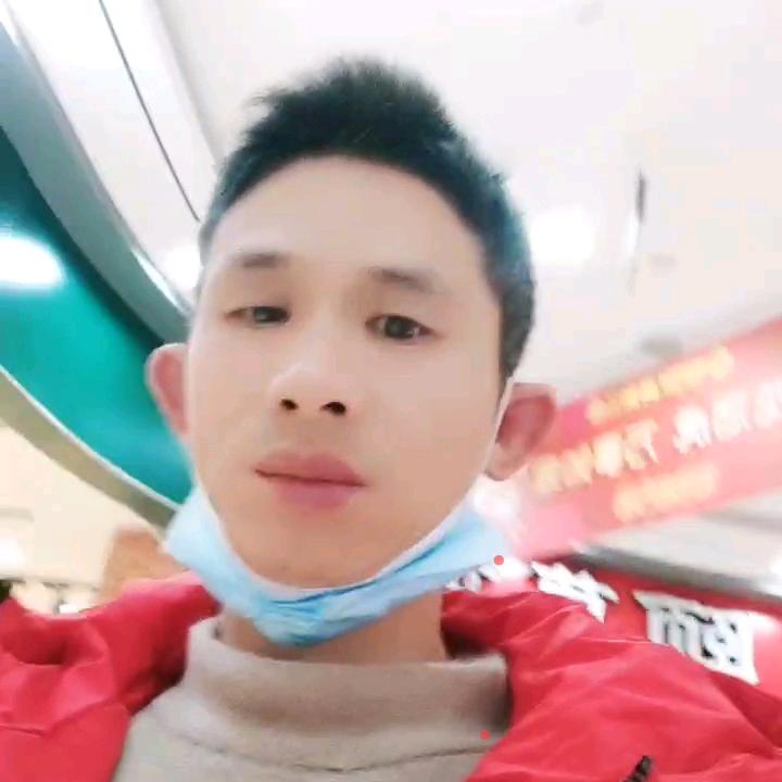 鸿鹄书法