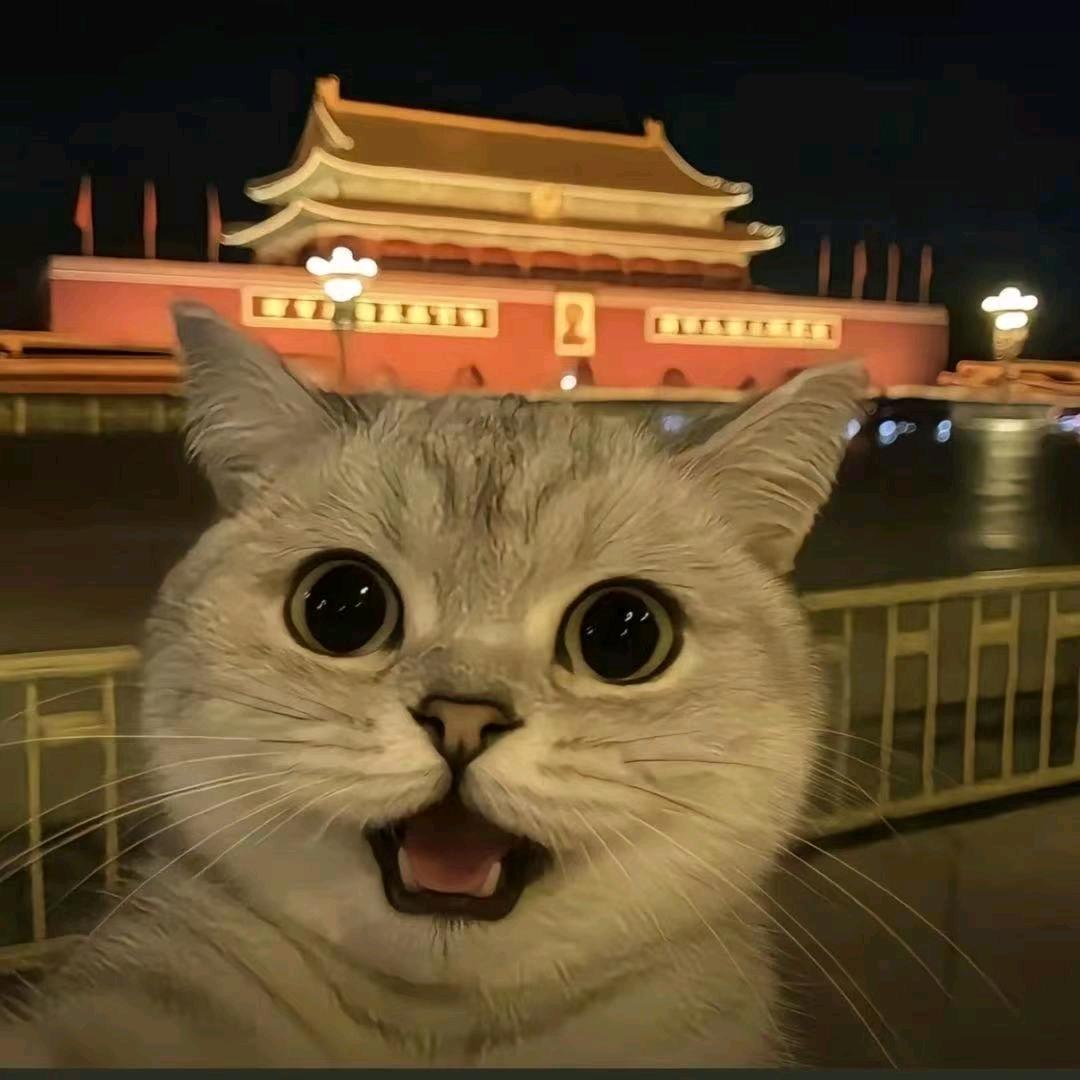 嘿嘿嘿嘿嘿假的