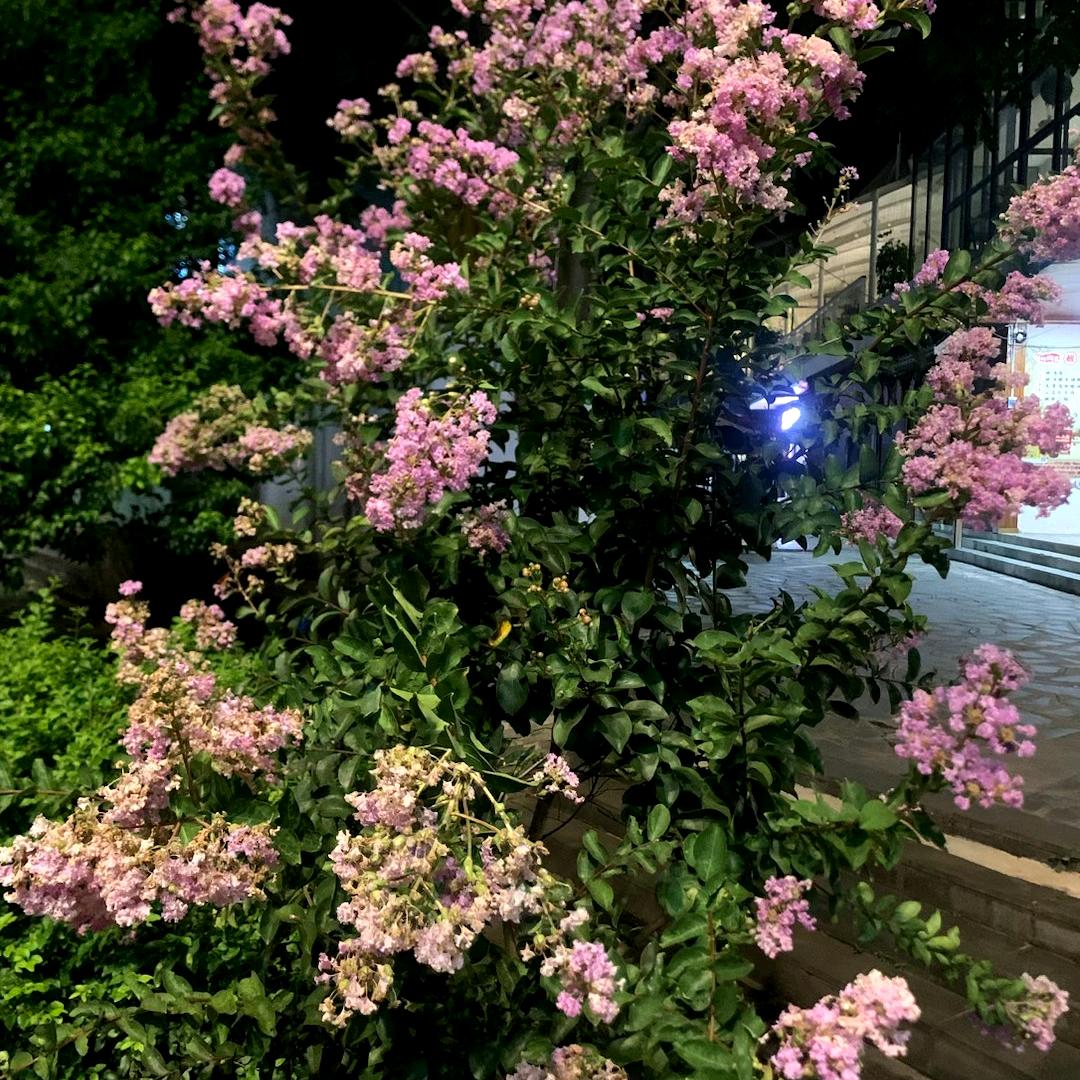 今生遇见是缘分