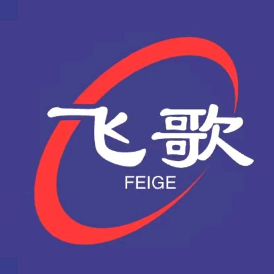 飞歌
