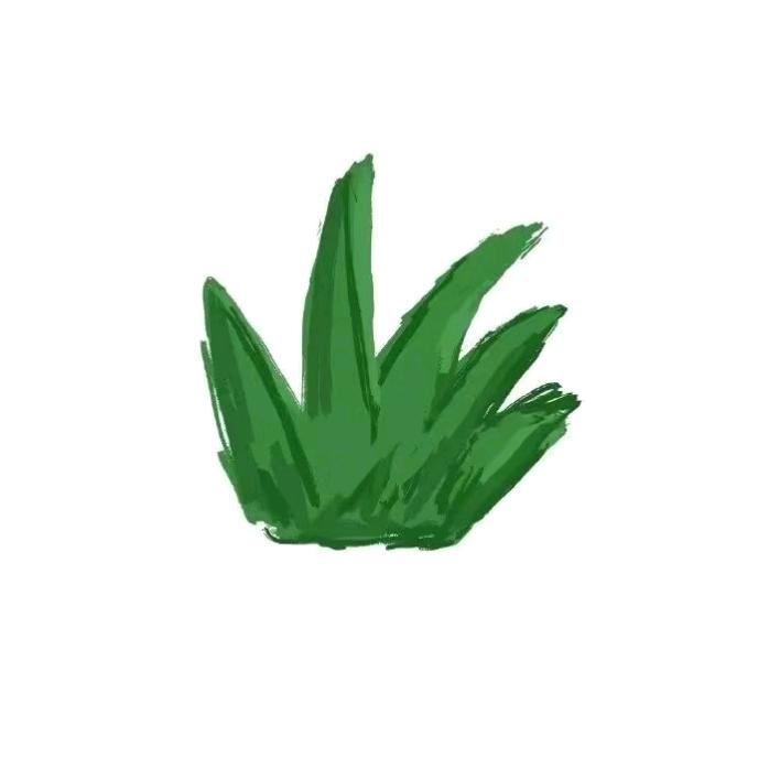 宅小草🌿