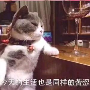 悉达多