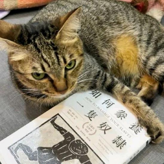 怎么个事？