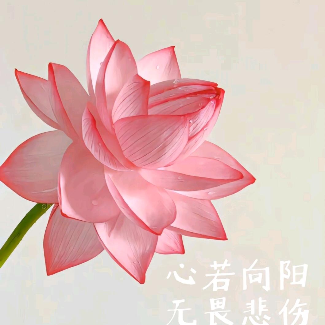 冀南文艺