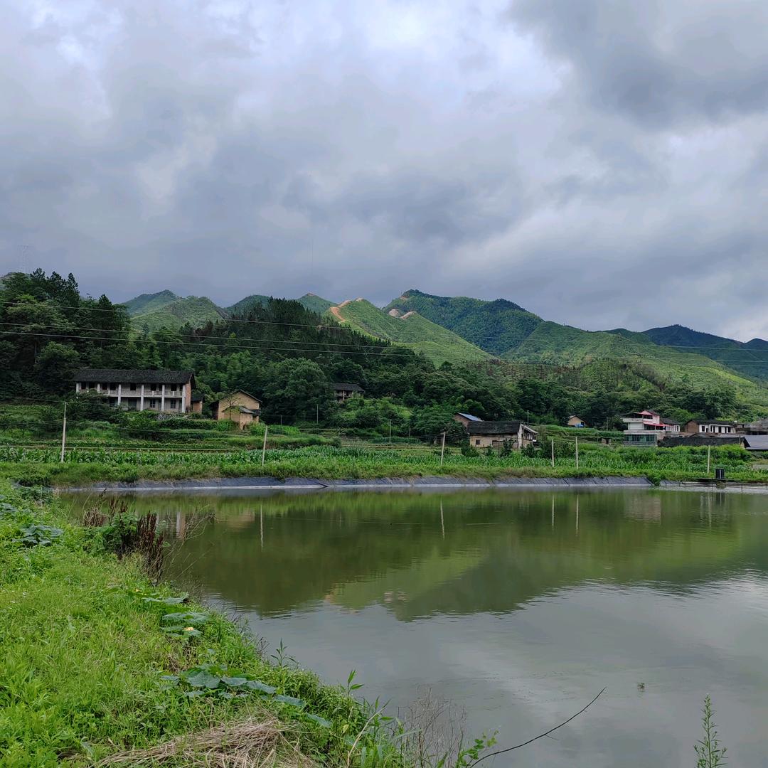 〈农村大姐〉🎤 🎤