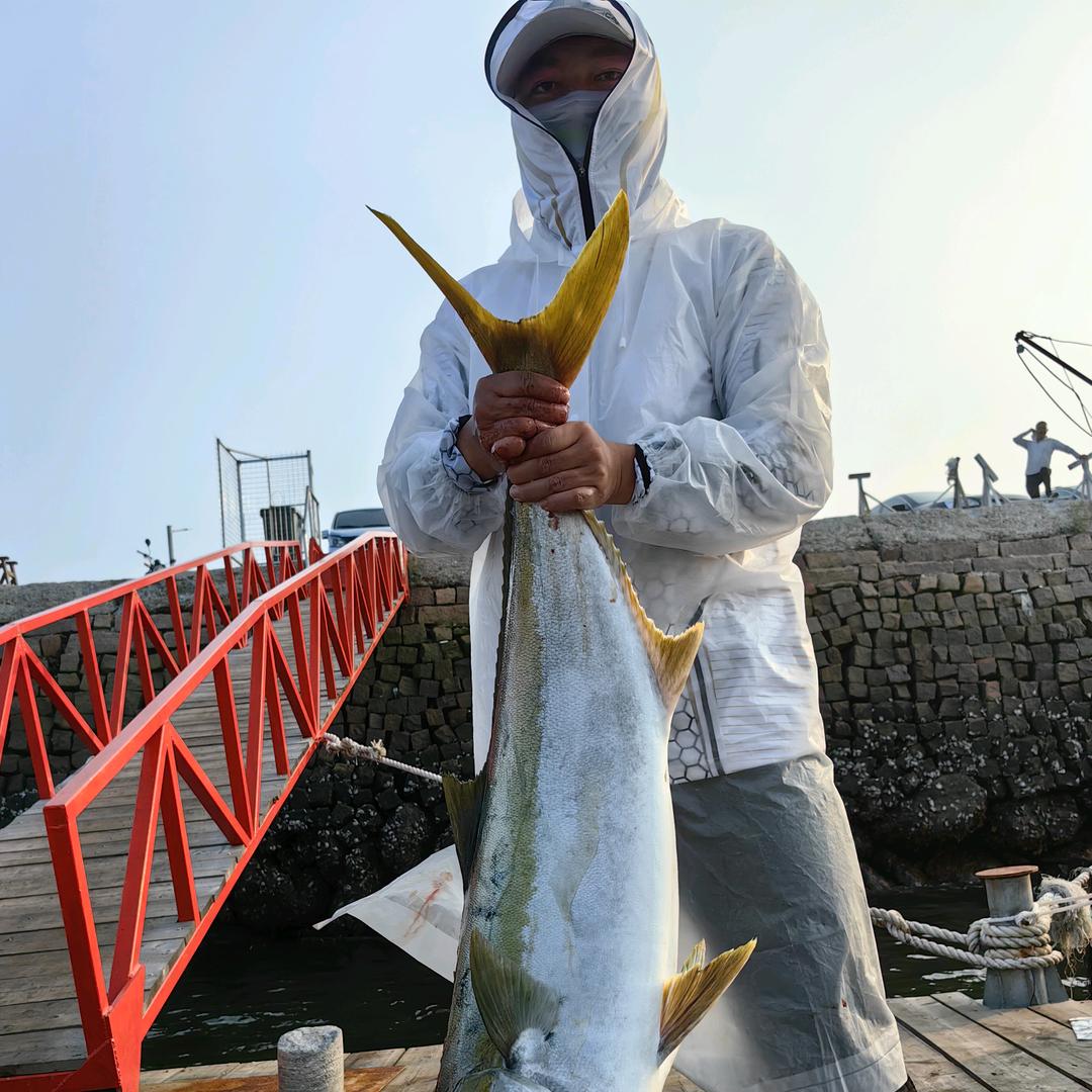 刺客🎣