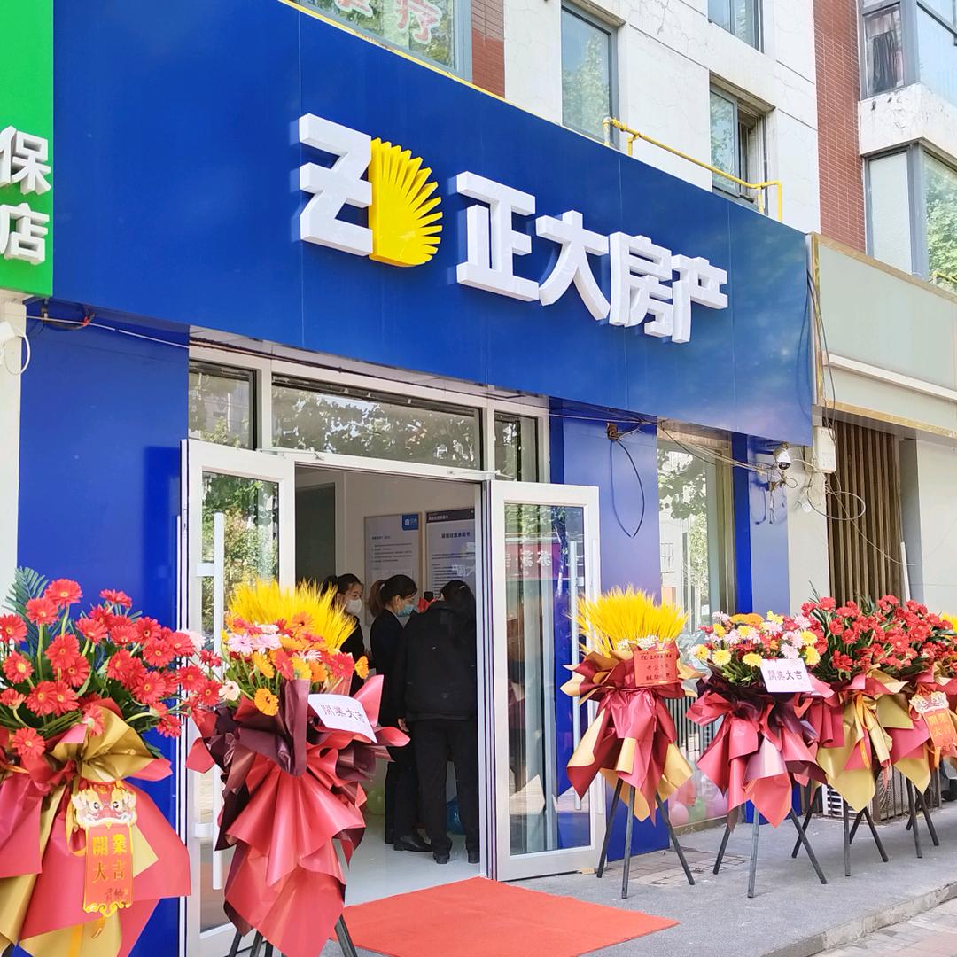 石家庄鸿树房地产经纪有限公司