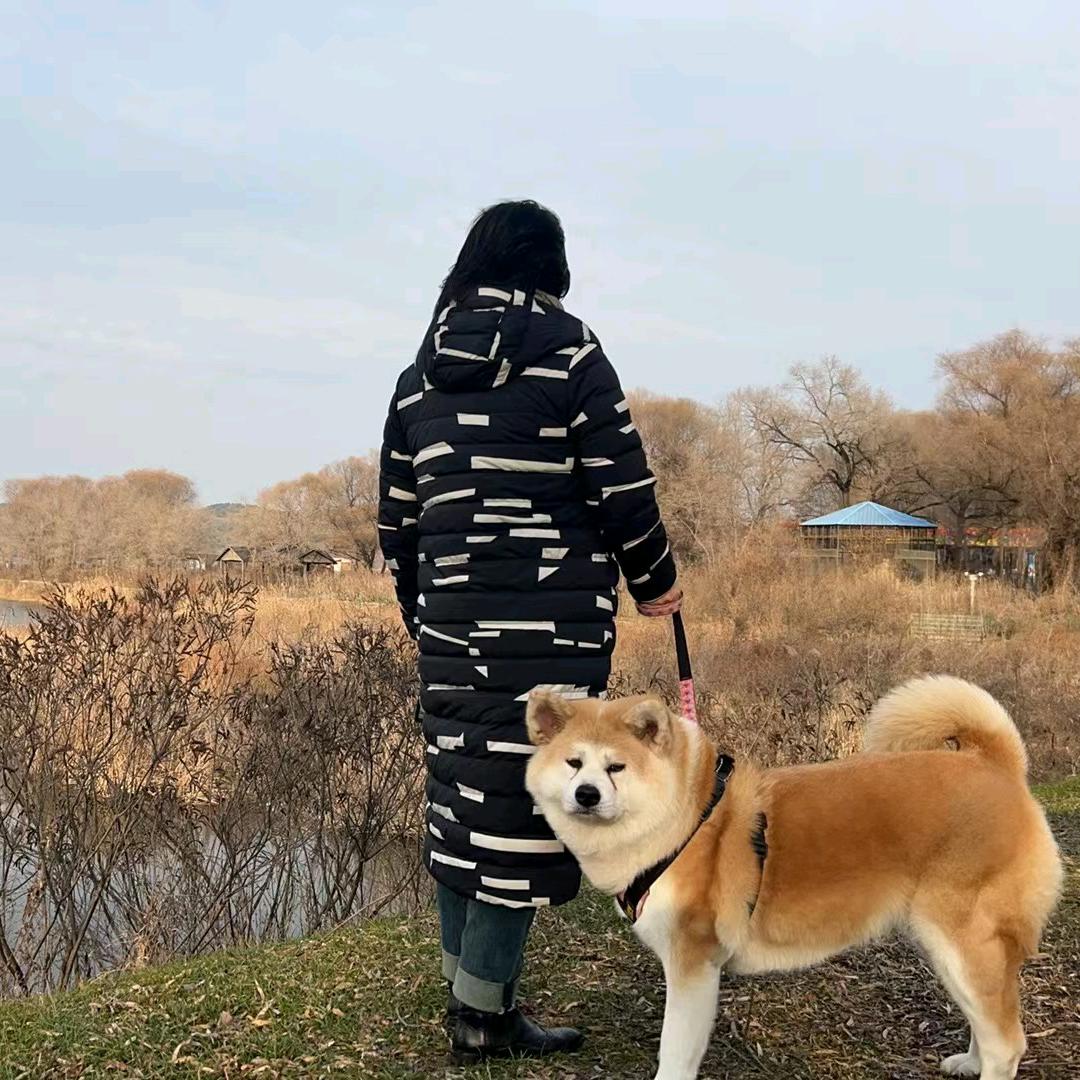 独角兽