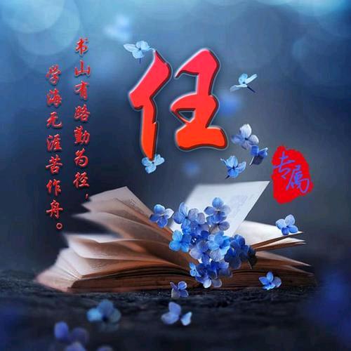随缘遇见