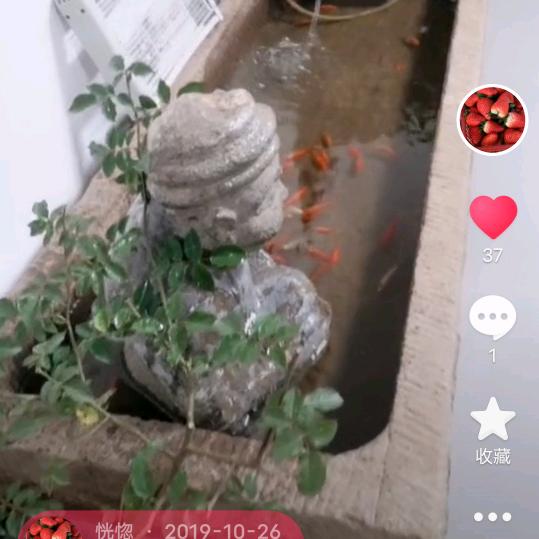 黄