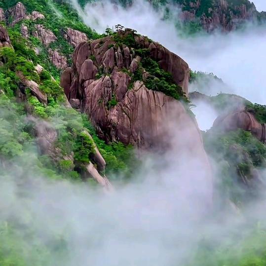 清心如水