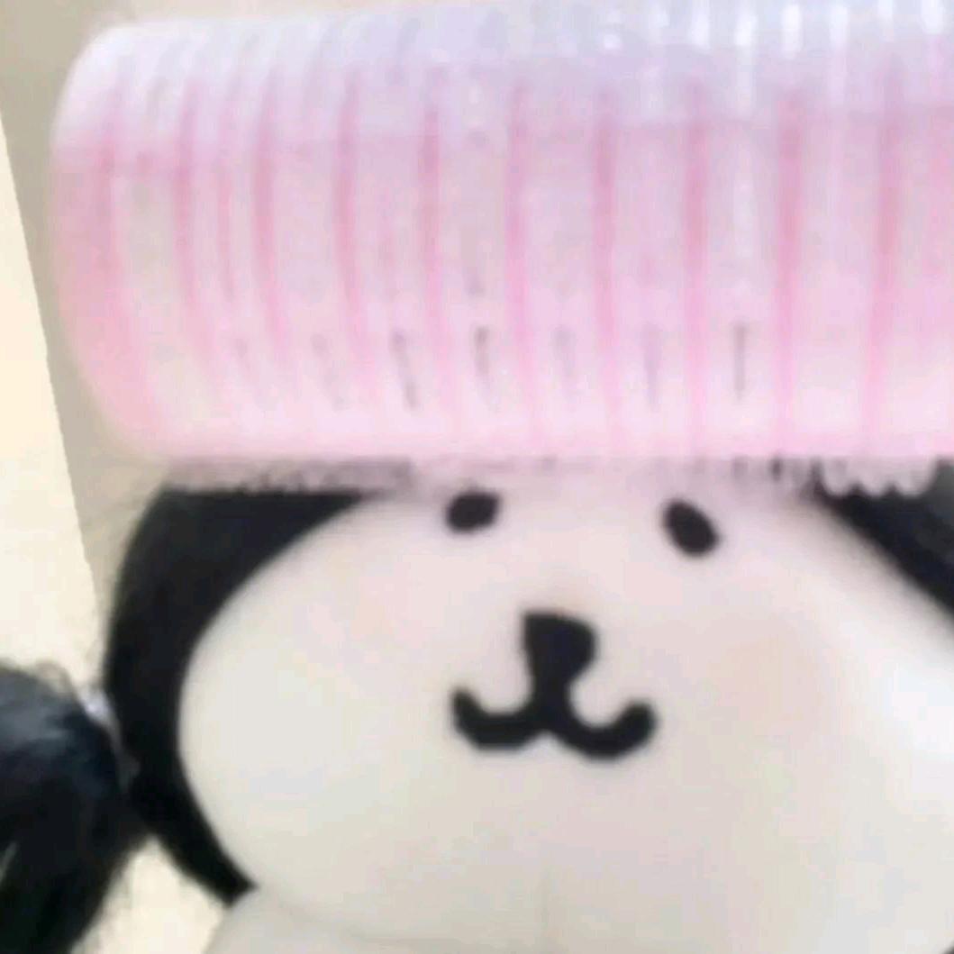雪莉