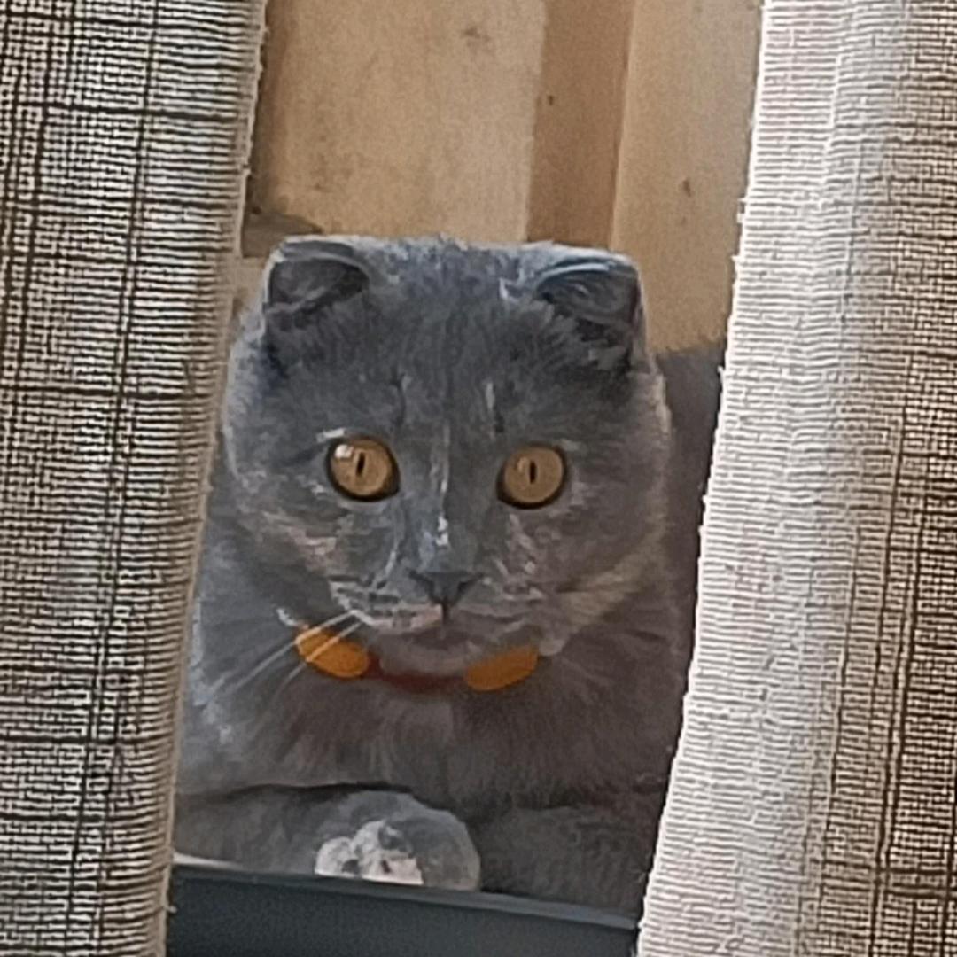 昆仑巴依