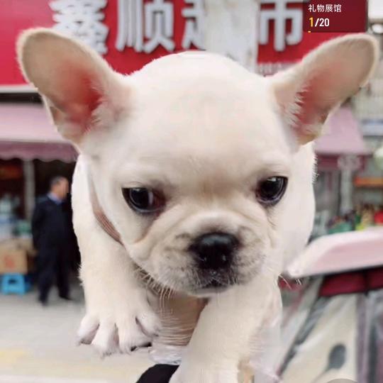 夜猫子吃宵夜