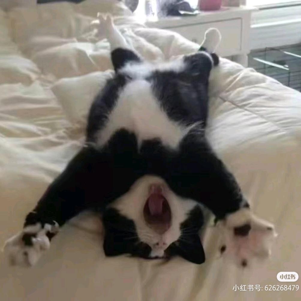嘉木