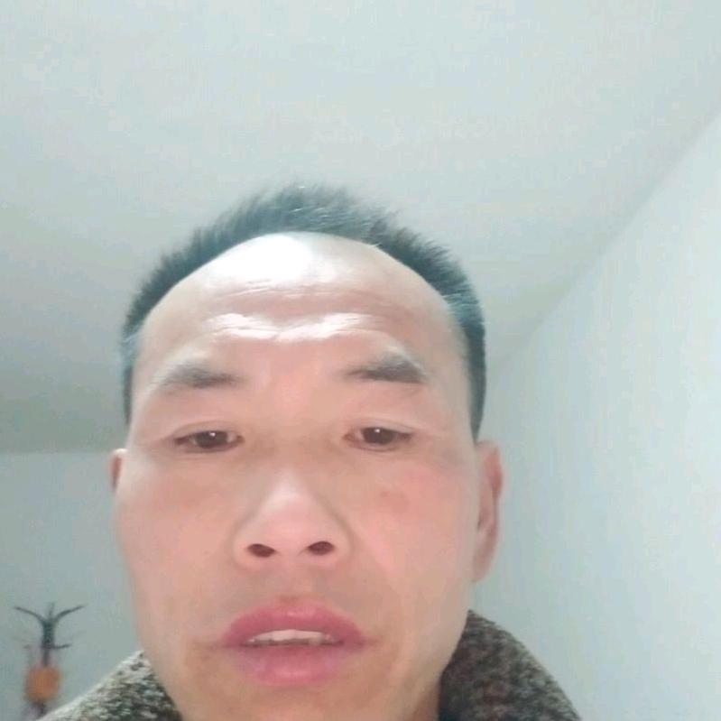 真心