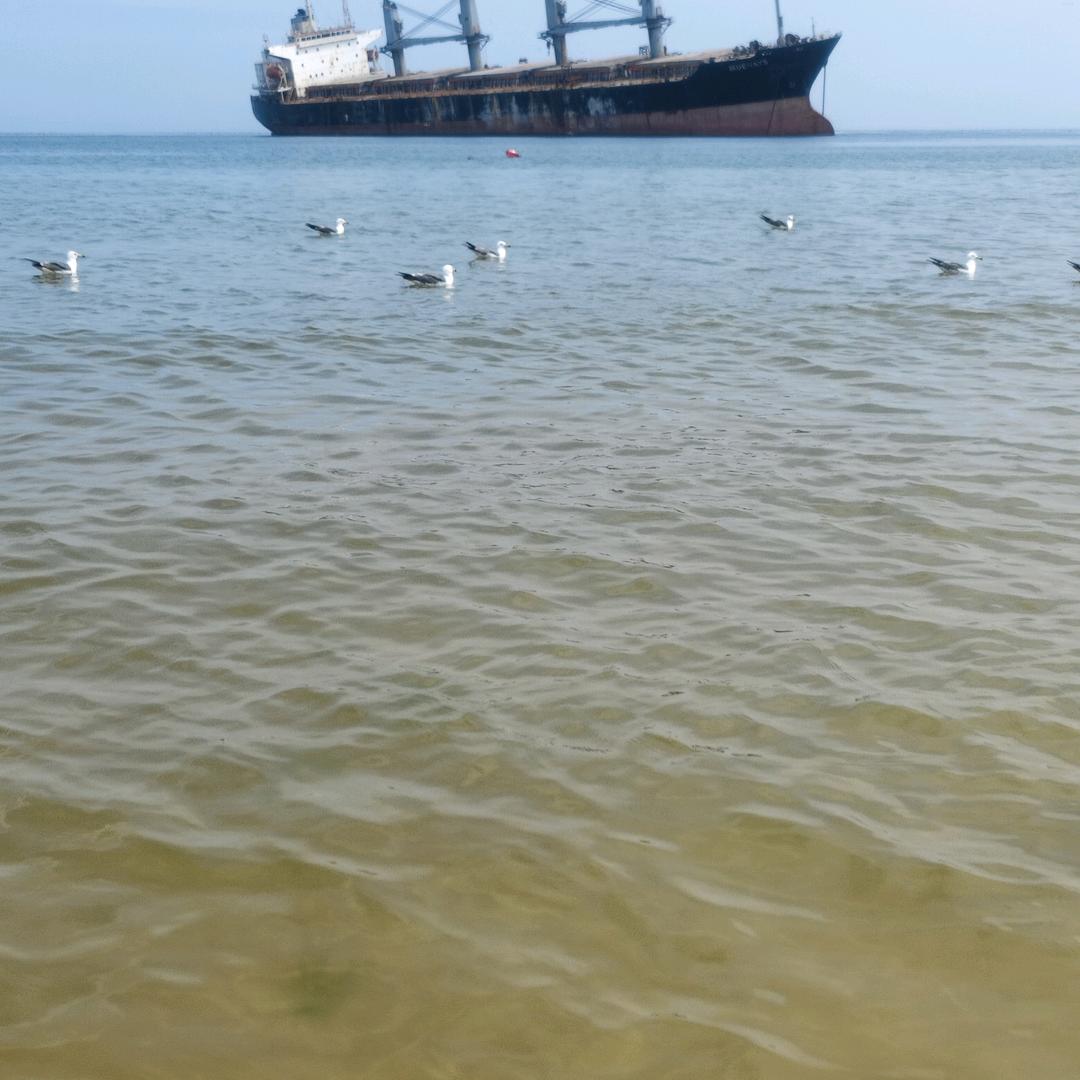 💃舞动人生～红💃