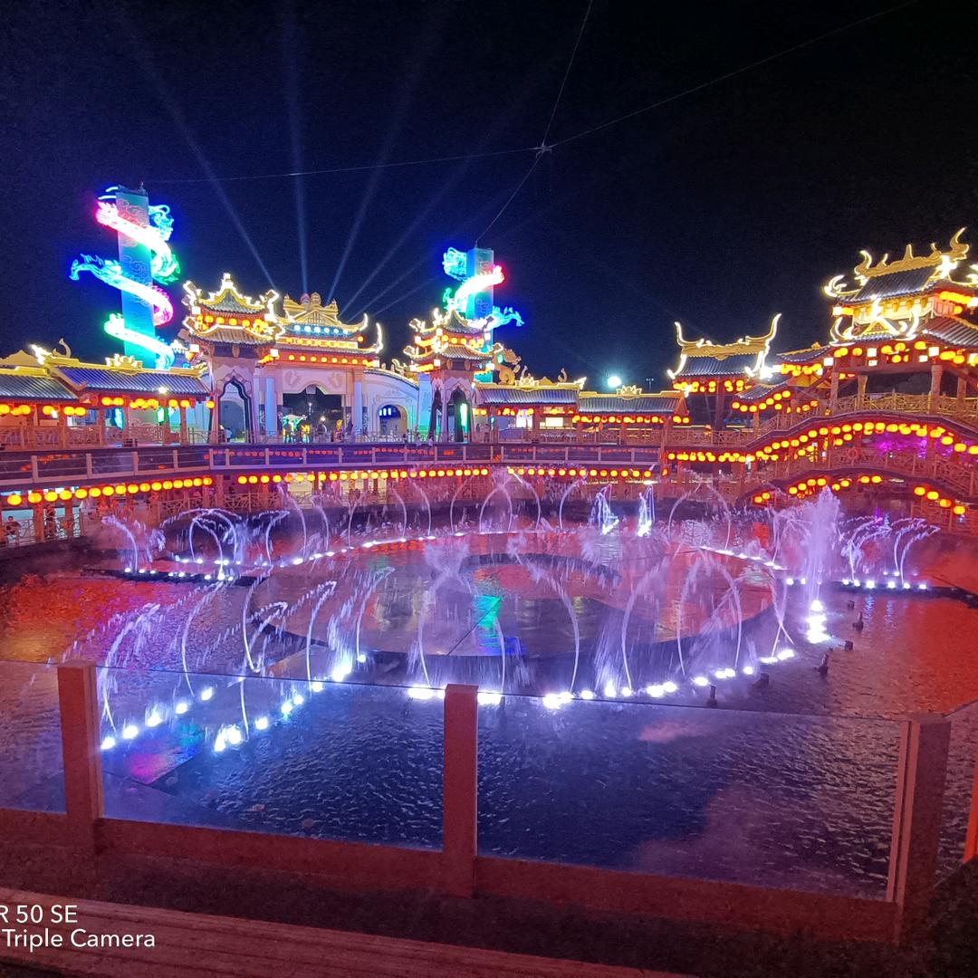 小老虎兰迪德诺