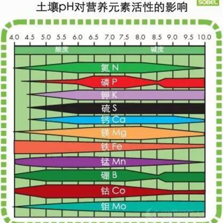 守望大地的丰收