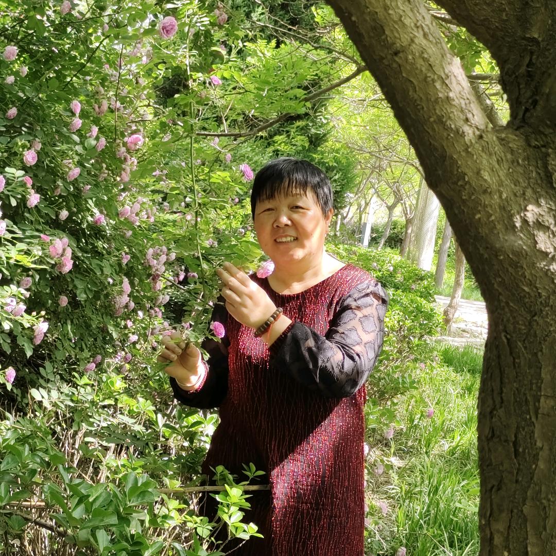 LG净心姐停播学习中