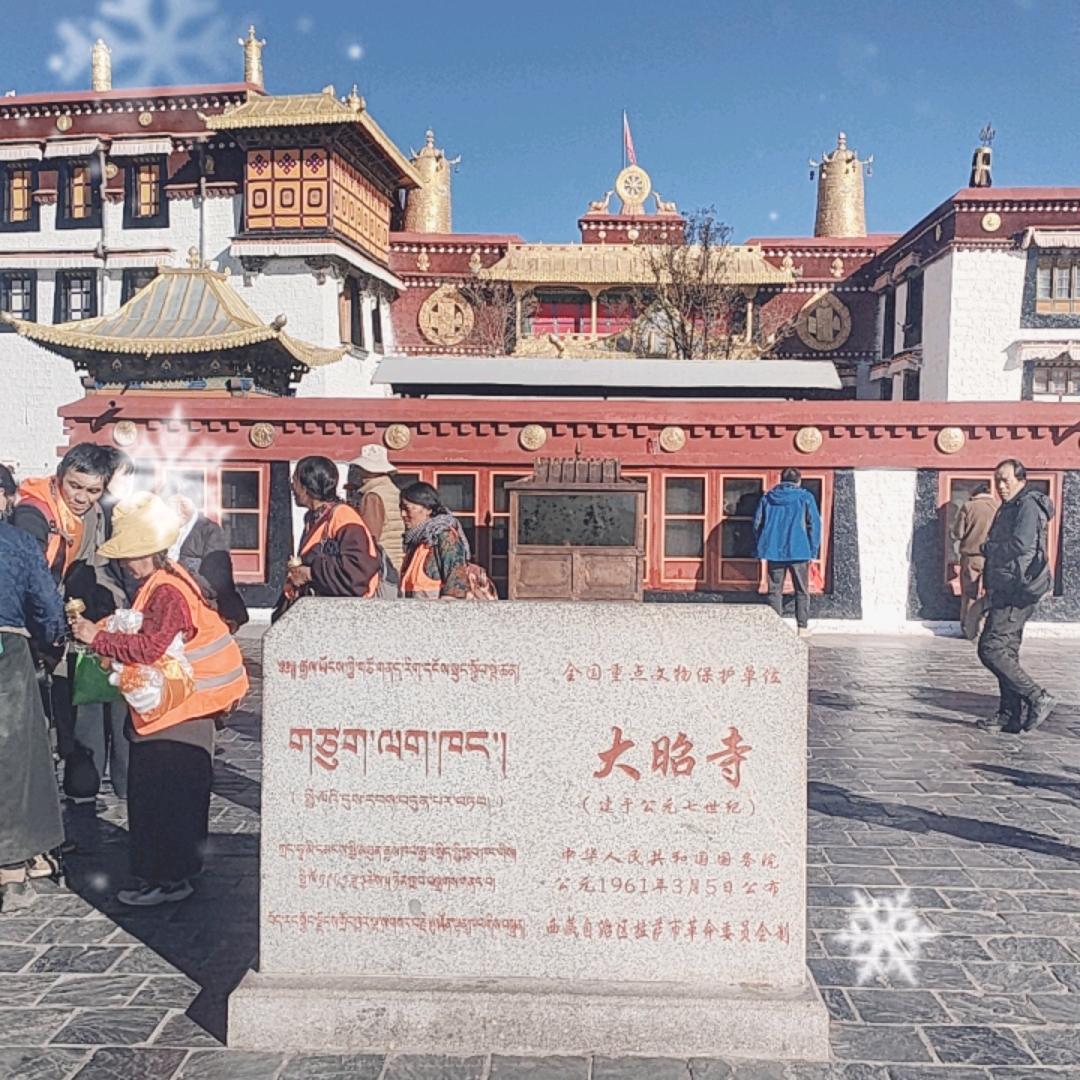 相信相信的力量