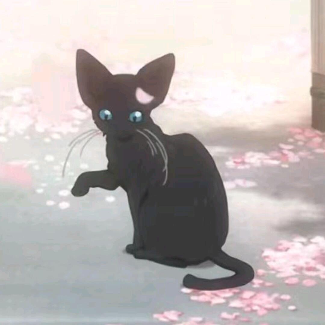 汤可hhh