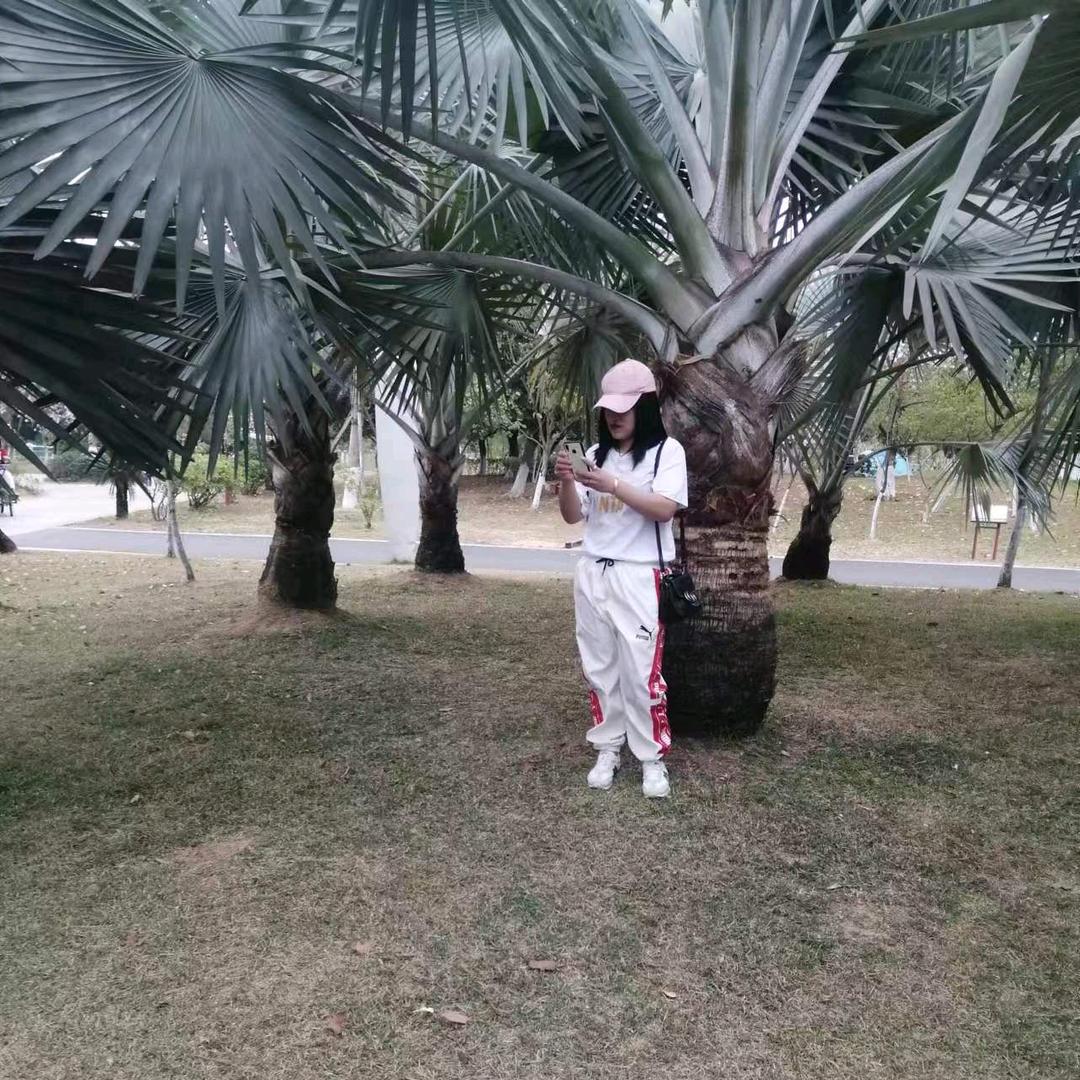 😍烟🎆花