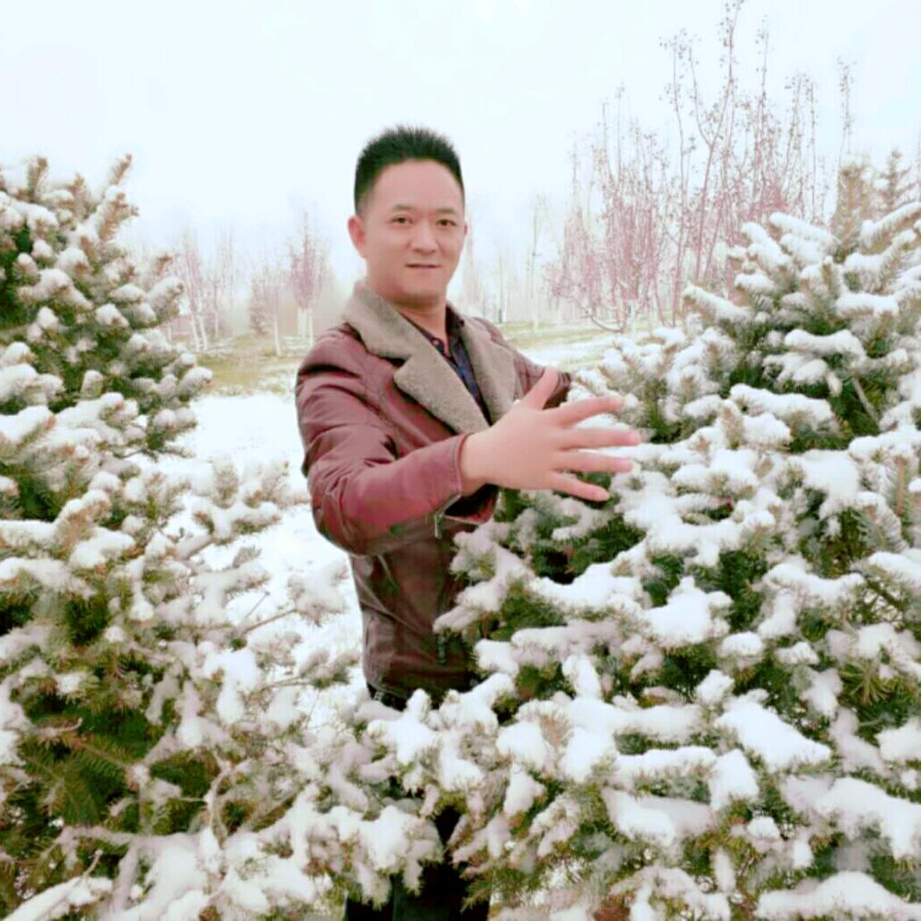 远方的家