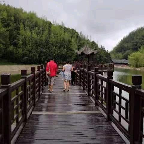 豆腐西施变成养牛婆