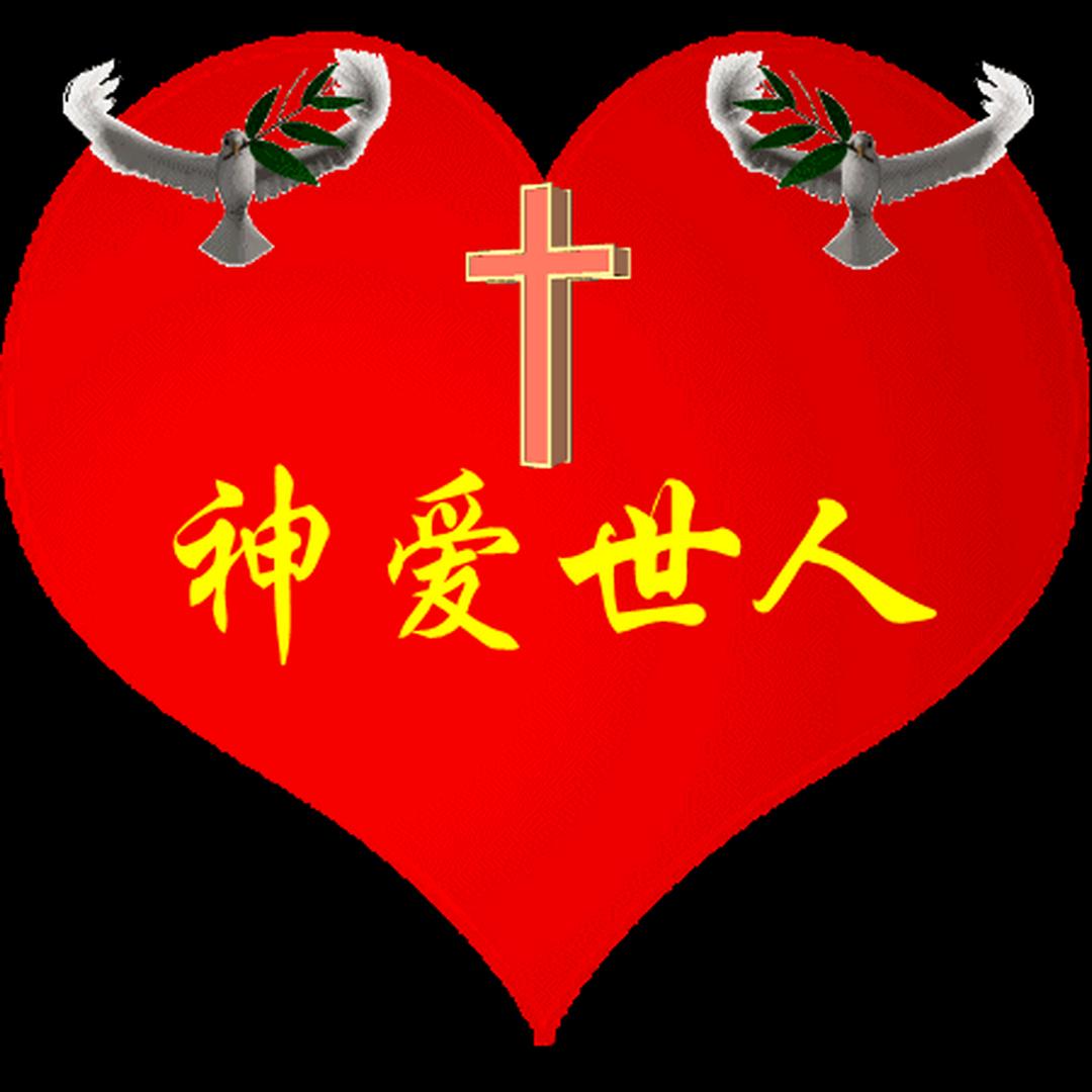 河南太康县五里口何楼村何楼村永才