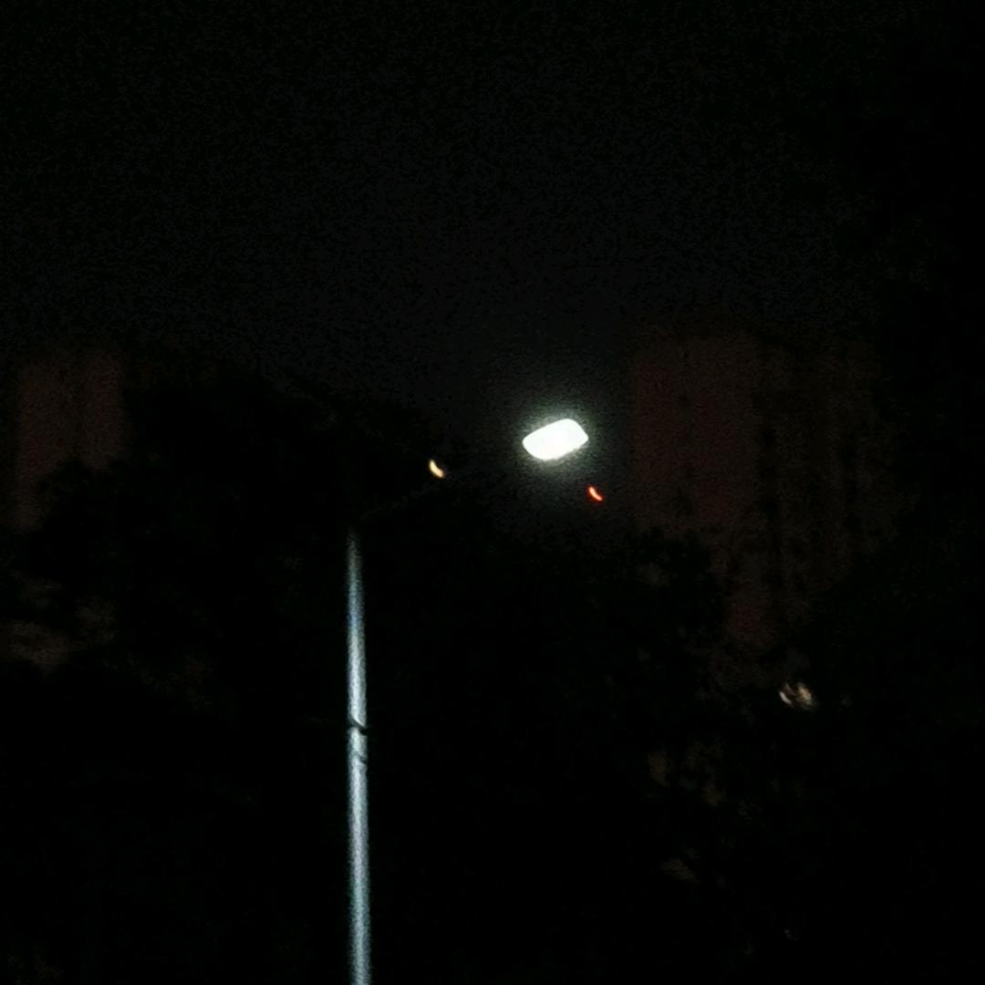 小宠