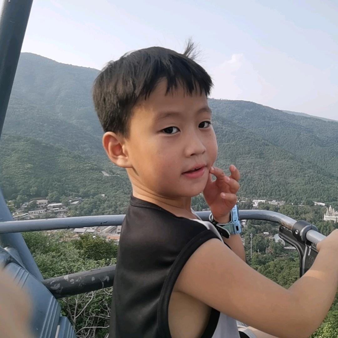 苏禹锡