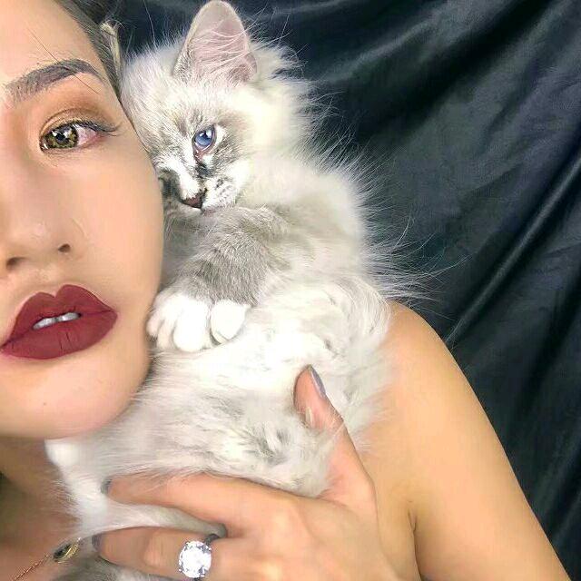 小李炸毛了