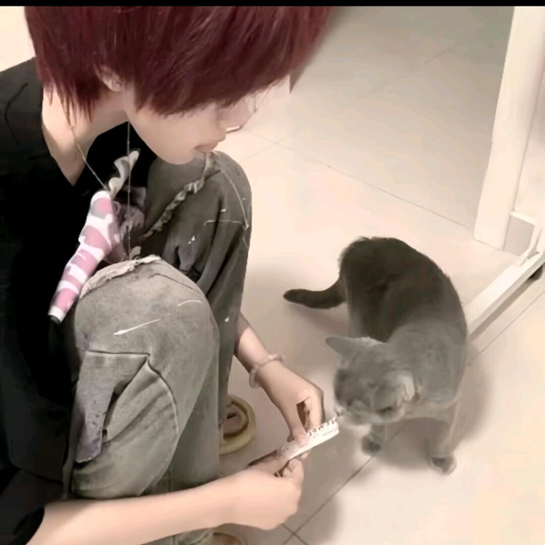 prince  yi