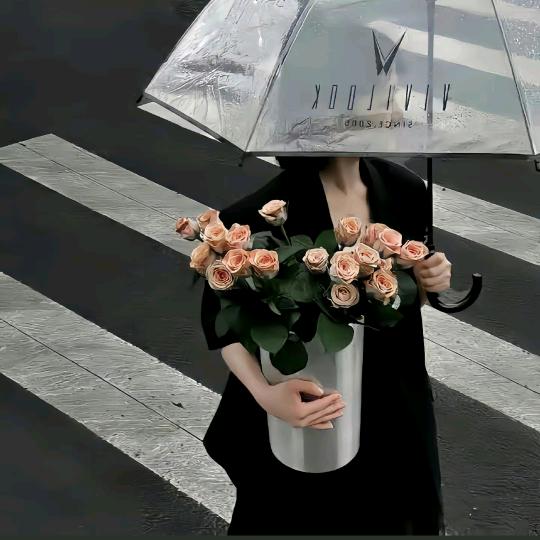 张鱼小丸子呀～