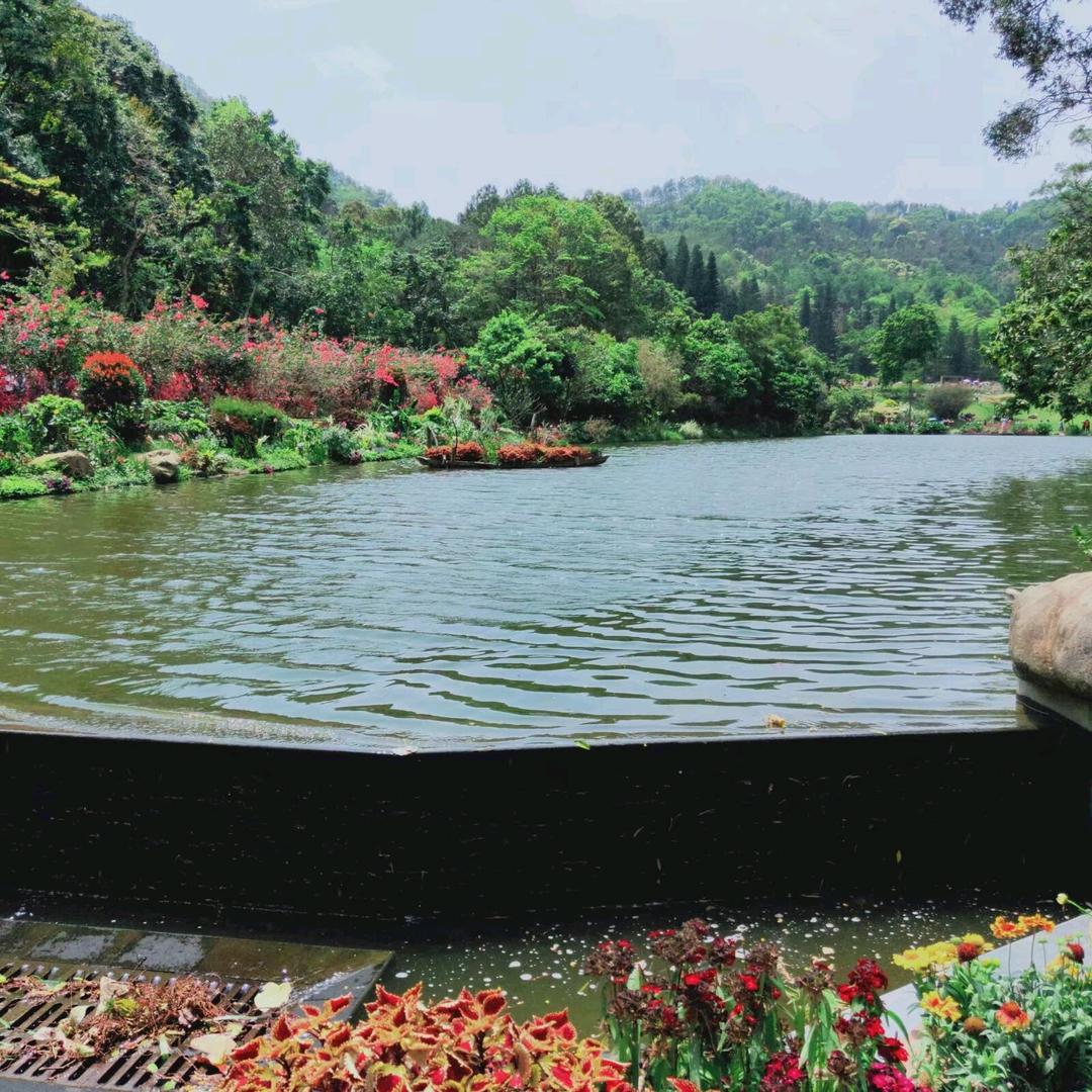 撸起袖子加油赚