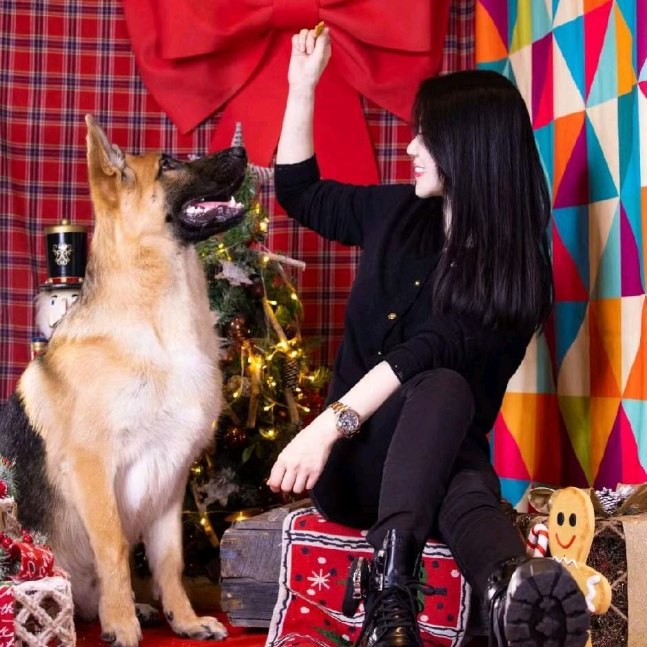 南希犬舍 杜宾德牧