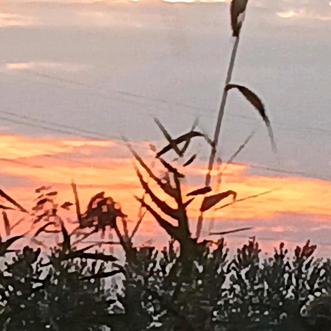 笑看人生，静看世事