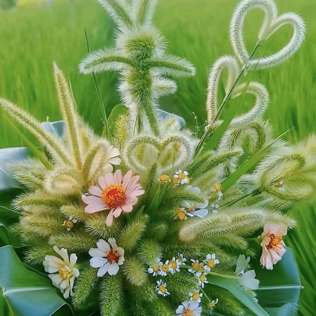 晚风遇清芒